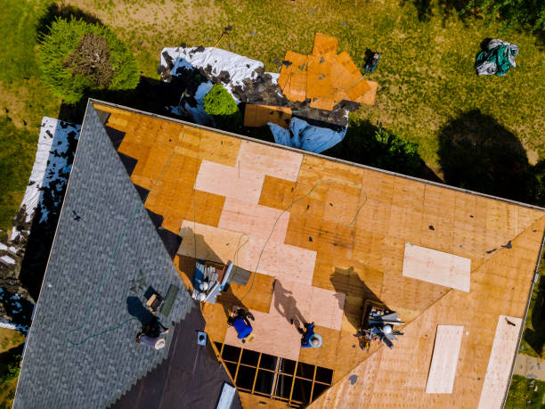 Professional Roofing Contractor in Boise City, OK