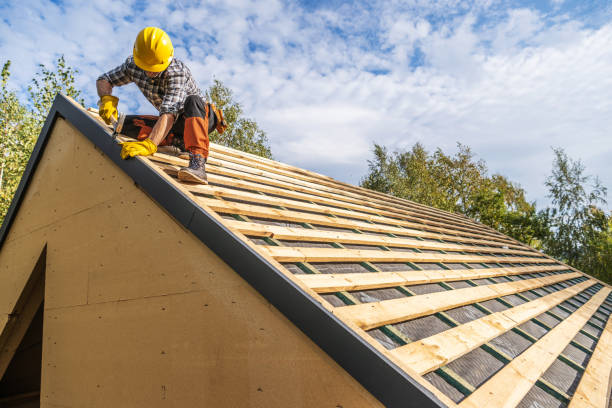 Best Roof Gutter Cleaning  in Boise City, OK