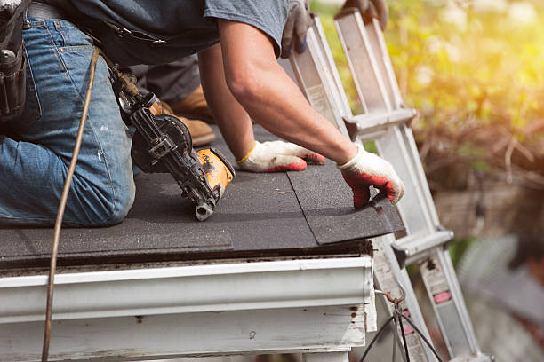 Best Roof Leak Repair  in Boise City, OK