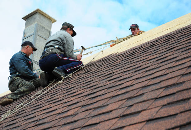 Best Flat Roof Repair Services  in Boise City, OK